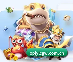 本站五个常用功能入口,赛程查询路径更短 - 多运动项目内容板块
